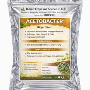 Acetobacter Bio Fertilizer – Nitrogen Fixing Bacteria for Plants | Organic Plant Growth Booster